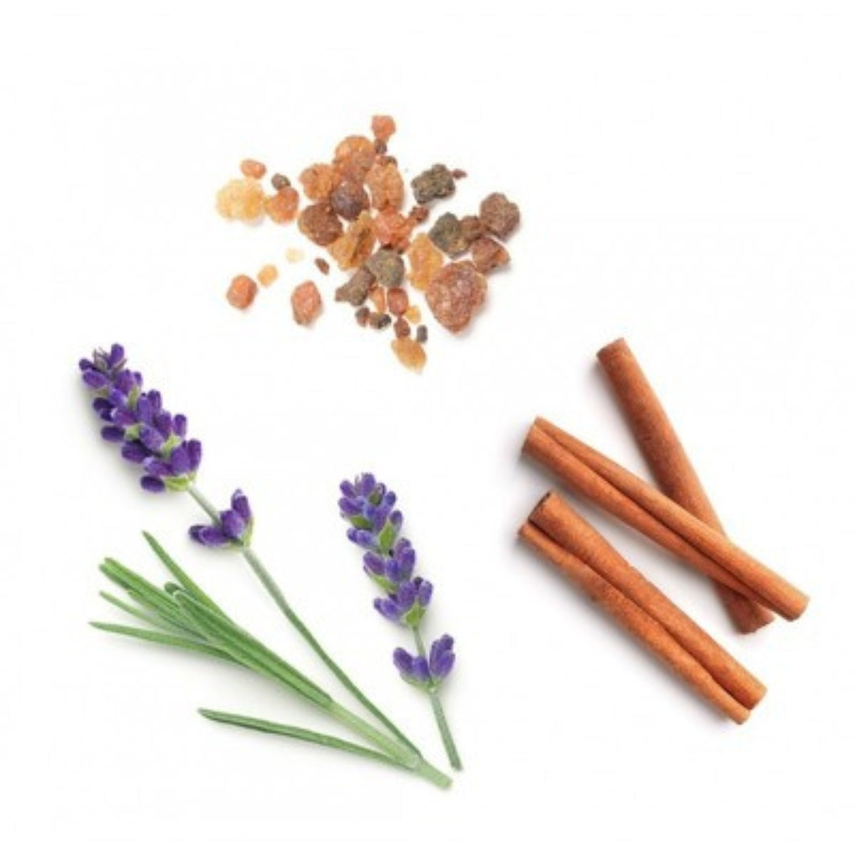 dōTERRA Anchor Steadying Blend Botanical