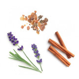 dōTERRA Anchor Steadying Blend Botanical