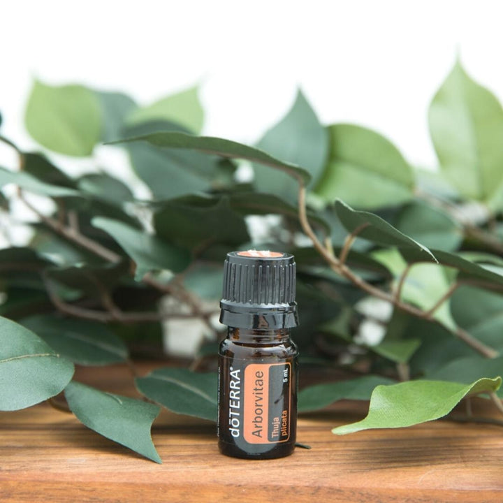 dōTERRA Arborvitae Essential Oil - 5ml