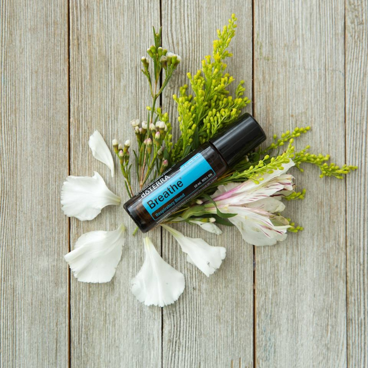 dōTERRA Breathe® Respiratory Blend Touch - 10ml Roll On