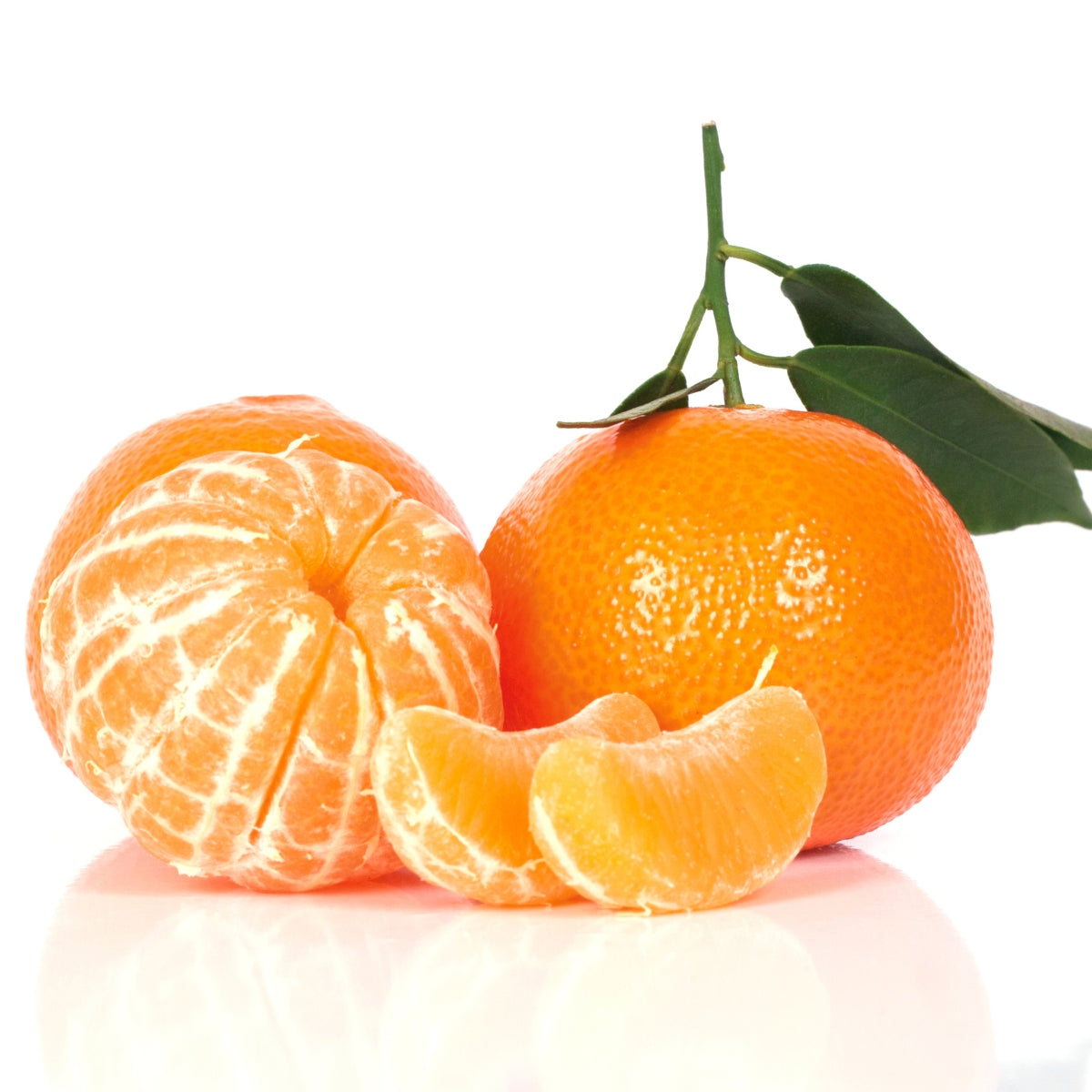 dōTERRA Clementine Essential Oil Botanical