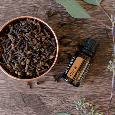 dōTERRA Clove Essential Oil - 15ml