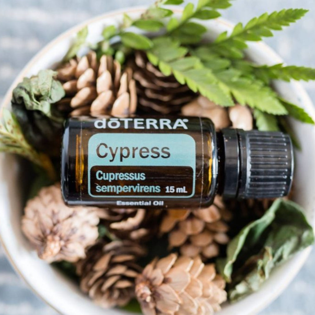 dōTERRA Cypress Essential Oil Life