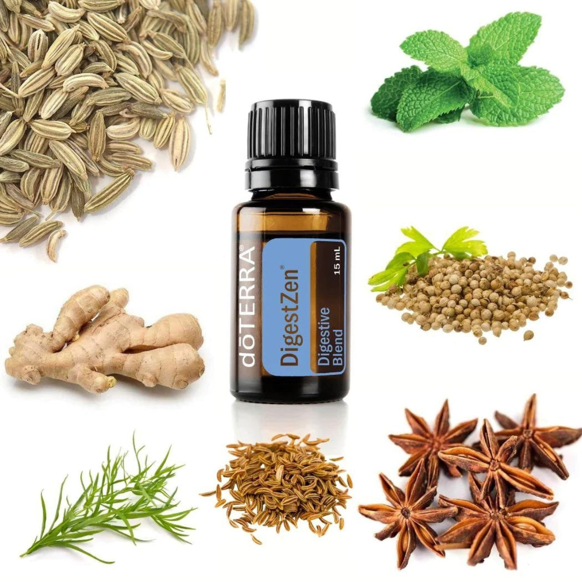 dōTERRA DigestZen® Digestive Blend - 15ml – dōTERRA Essential Oils