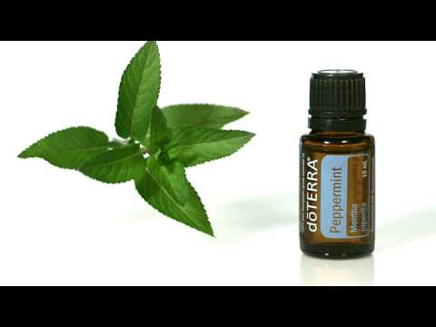 doTERRA® Peppermint Oil Uses and Benefits