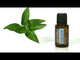 doTERRA® Peppermint Oil Uses and Benefits