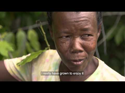 Co-Impact Sourcing of Ylang Ylang from Madagascar