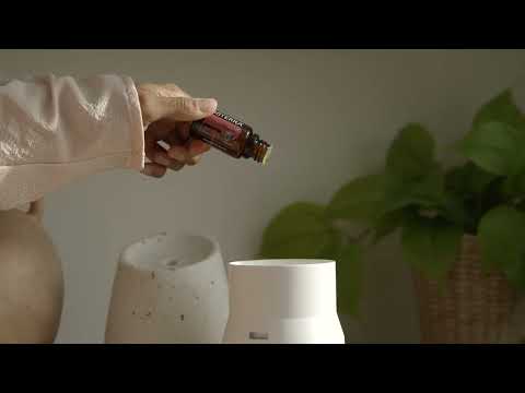 dōTERRA Citrus Bliss® Invigorating Blend - 15ml
