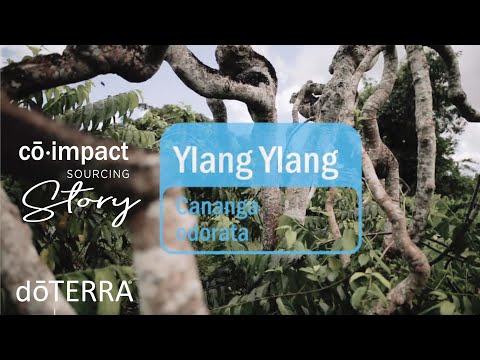 dōTERRA Ylang Ylang Essential Oil - 15ml