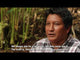 Cardamom Sourcing