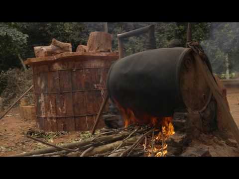 Sourcing Petitgrain - Paraguay