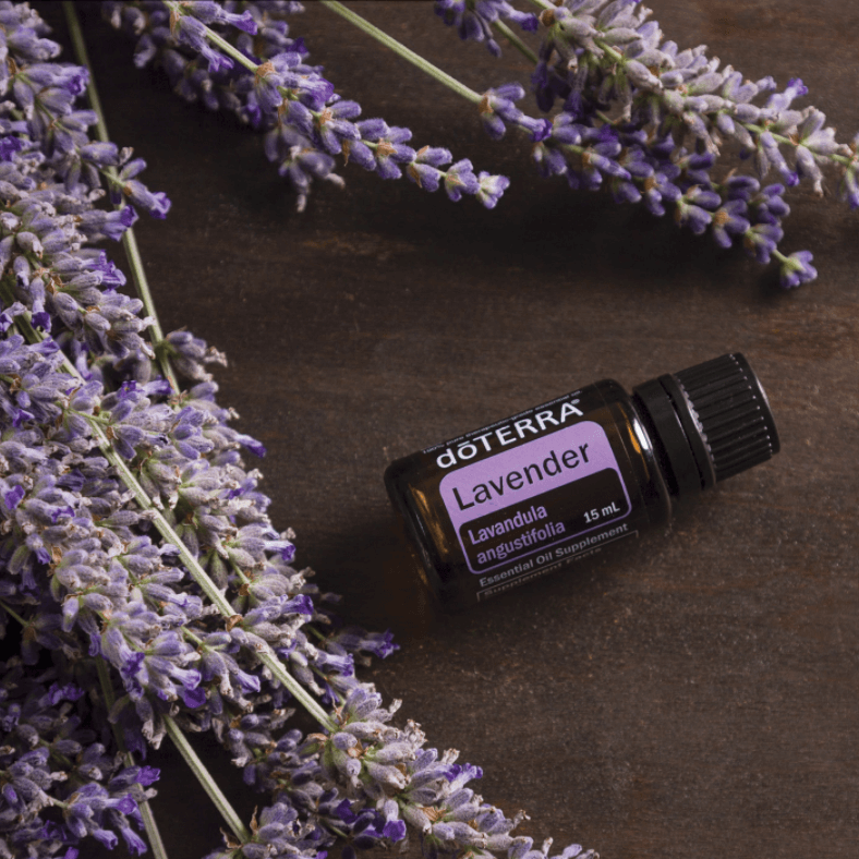 dōTERRA Lavender Essential Oil Life